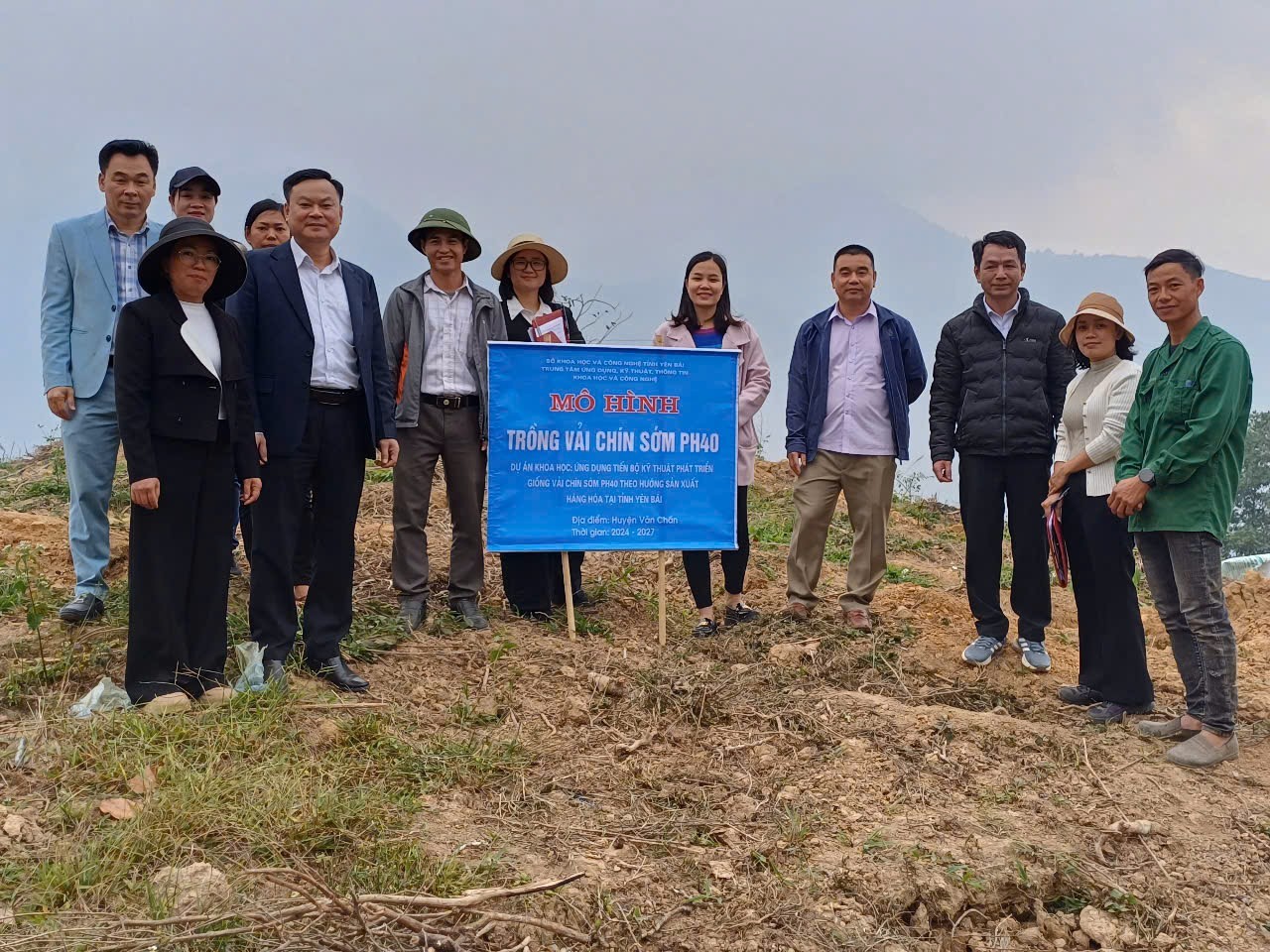 Kiểm tra, đánh giá mô hình trồng vải chín sớm tại huyện Văn Chấn